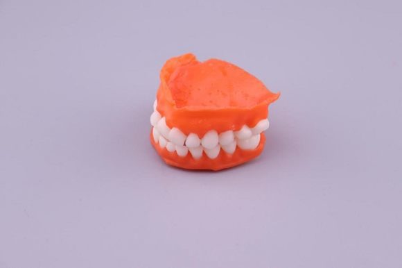Gorky-Liquid-Dental-Base-2