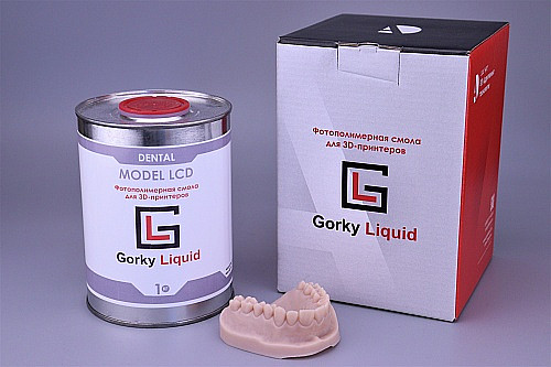 gorky-liquid-dental-model