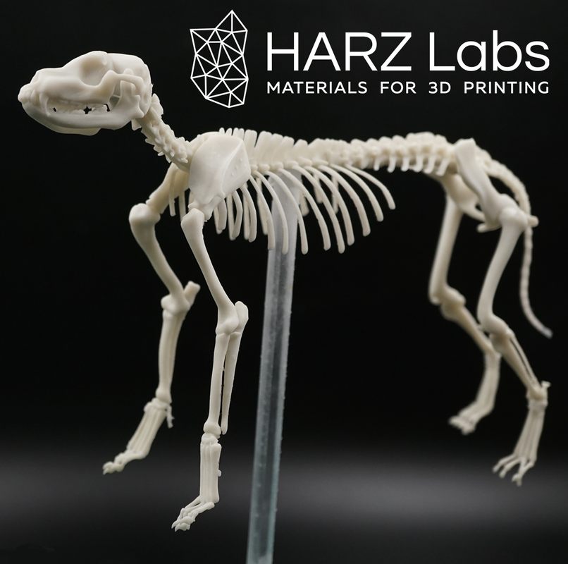 harz-labs-bone-model