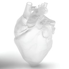 Фотополимер Phrozen Aqua Clear Plus