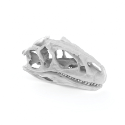 3D-сканер RangeVision Neopoint