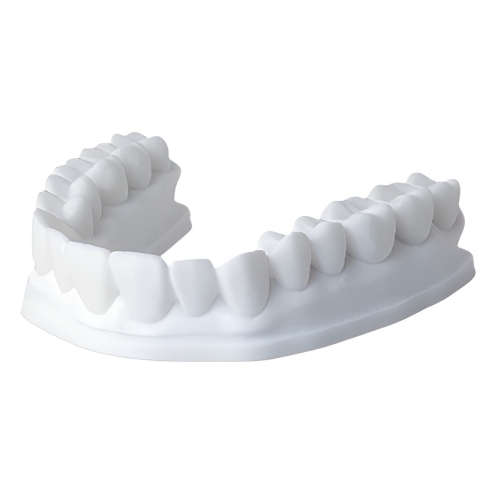 Фотополимер Phrozen Dental Study Model