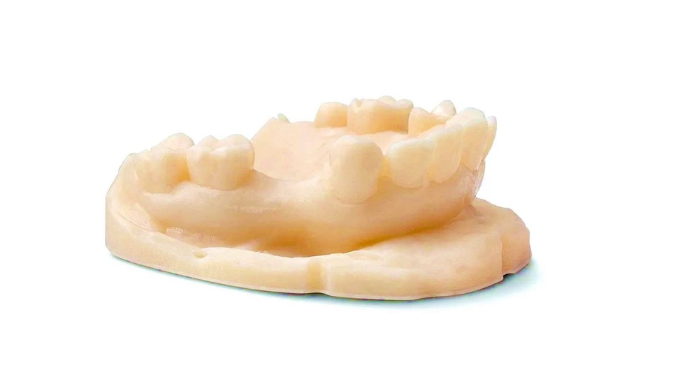 Phrozen Beige Low-Irritation Dental Model