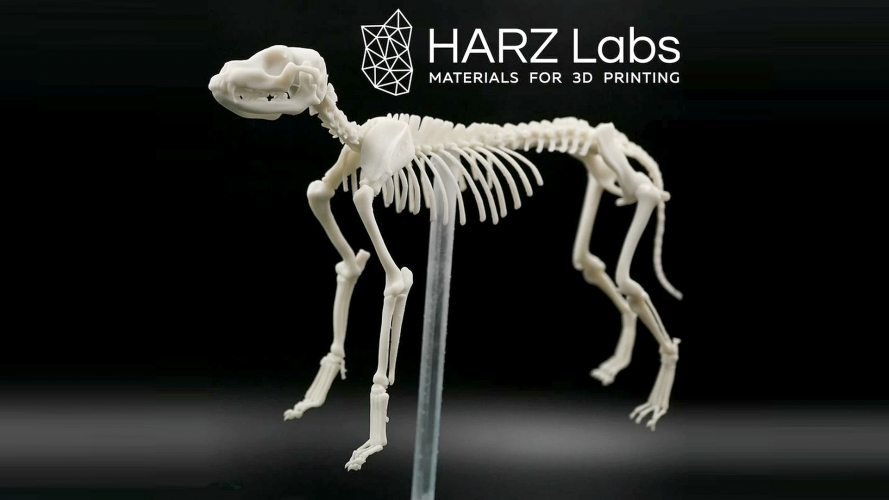 Dental Model Resin Bone фотополимер HARZ Labs для LCD DLP 3D-принтера обладает высокой твердостью, устойчивостью к механическим и термическим воздействиям 1 кг