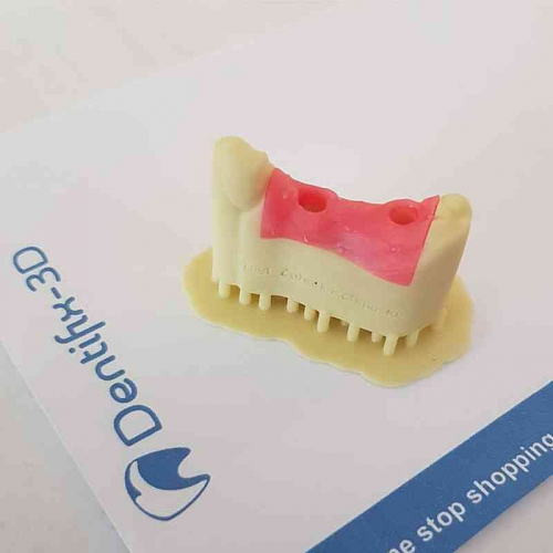 Фотополимер FunToDo Dentifix-3D Gingiva HR (1 кг)