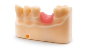 Фотополимер HARZ Labs Dental Pink Soft (0,5 кг)