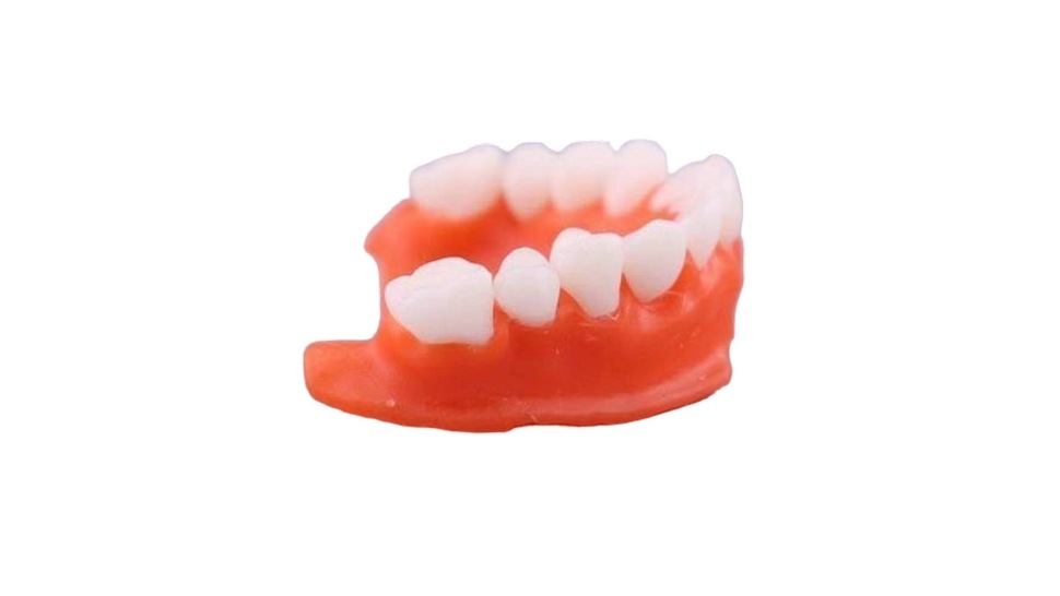 Gorky Liquid Dental Base Model-3
