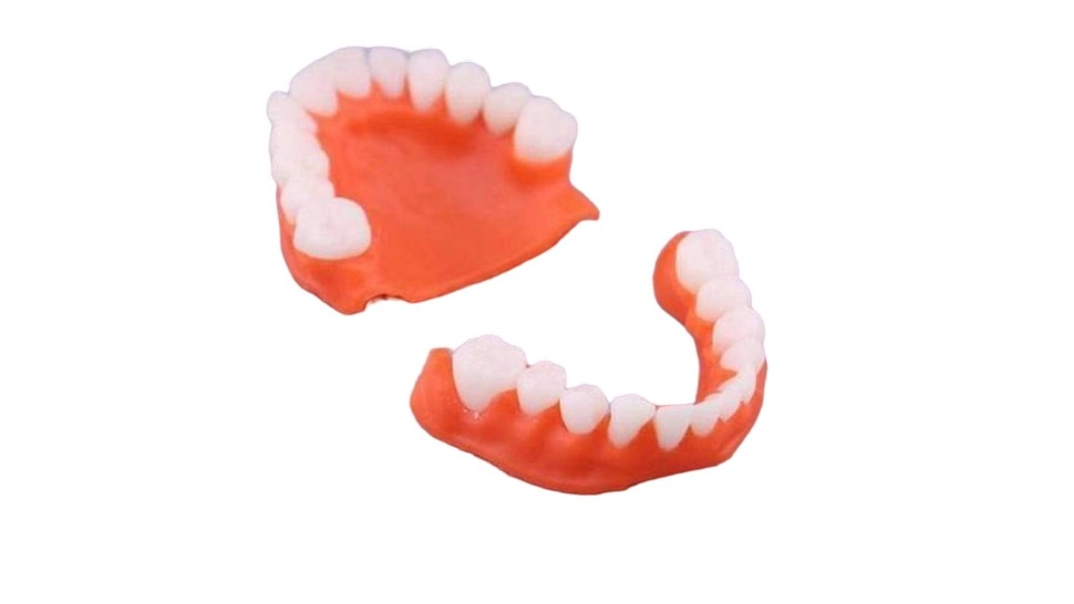 Gorky Liquid Dental Base Model-2