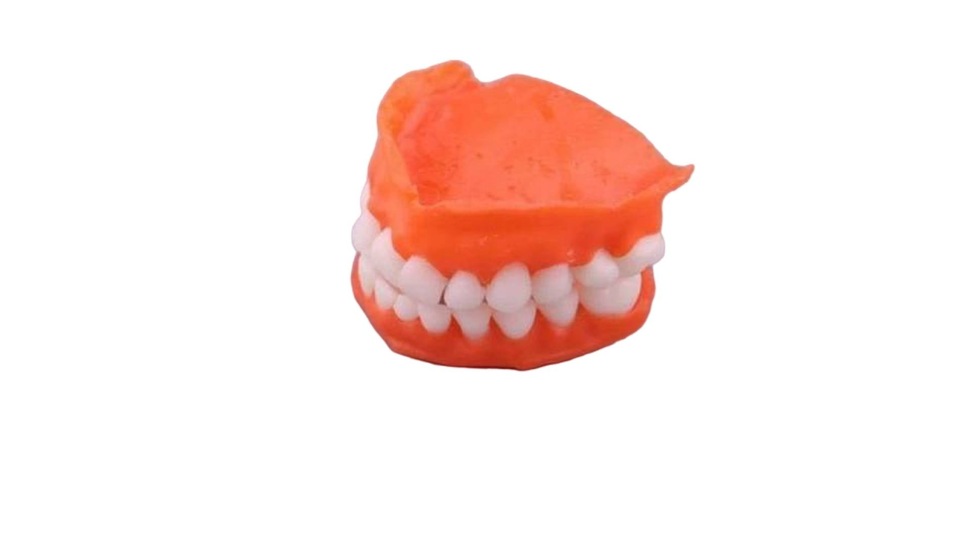 Gorky Liquid Dental Base Model-1