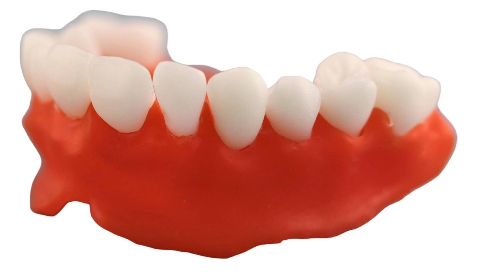 Gorky Liquid Dental Base Model-4
