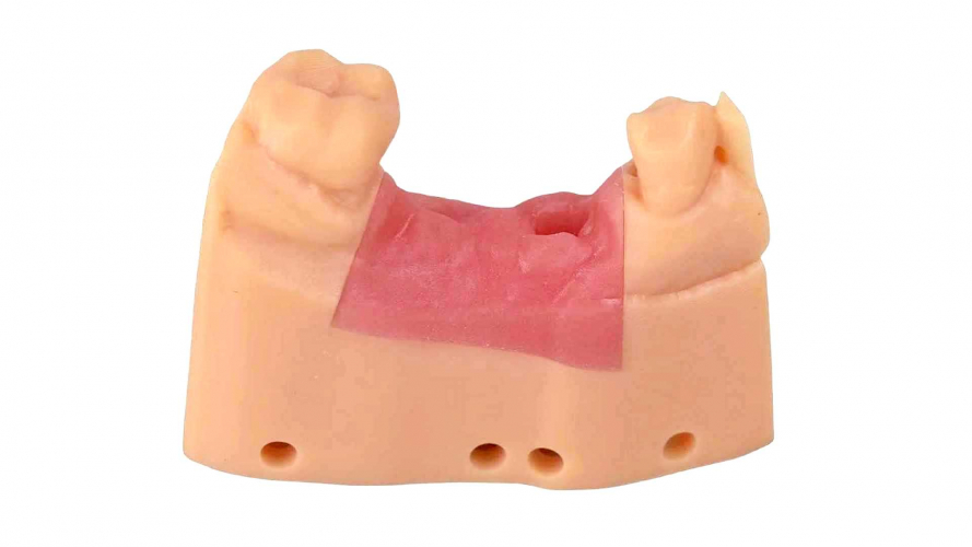 Фотополимер Resione F80 Elastic Resin Dental Gum Color (1 кг)