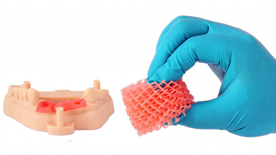 Фотополимер Resione F80 Elastic Resin Dental Gum Color (1 кг)