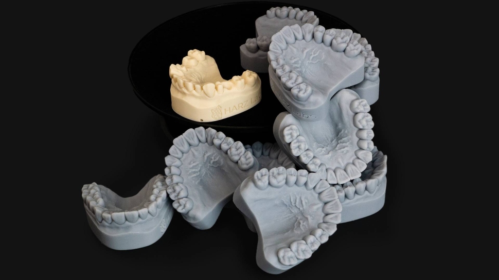 HARZ-Labs-Dental-Ivory-Model1