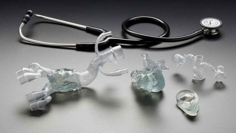 Formlabs-BioMed-Flex-80A-Model2