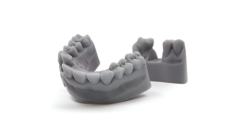 HARZ Labs Dental Model Light Grey Model 3 HARZ-Labs-Dental-Model-Light-Grey-Model-3